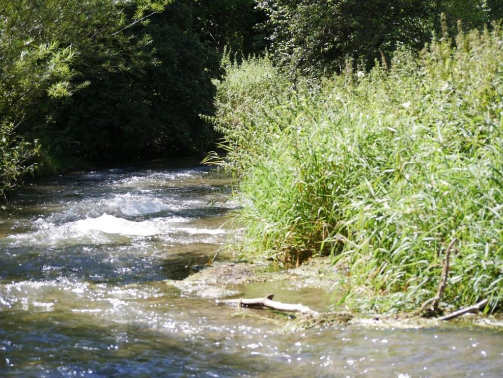 Ferienhaus Eichhoelzle Münsingen Kültér fotó